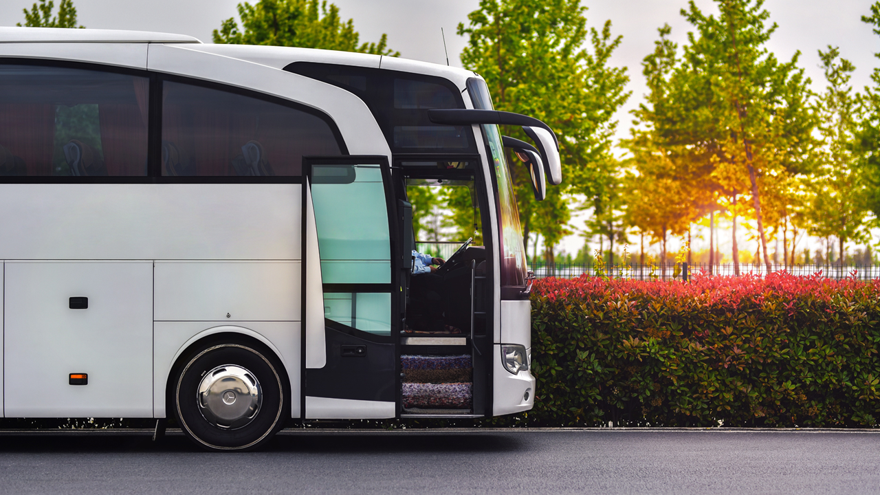 Bus & Group Transport Service